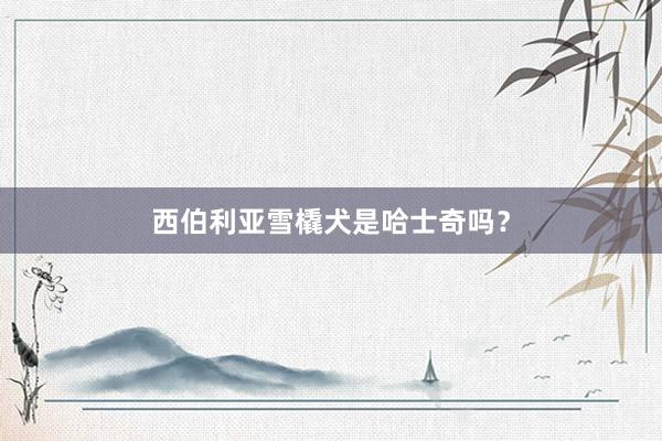 西伯利亚雪橇犬是哈士奇吗？